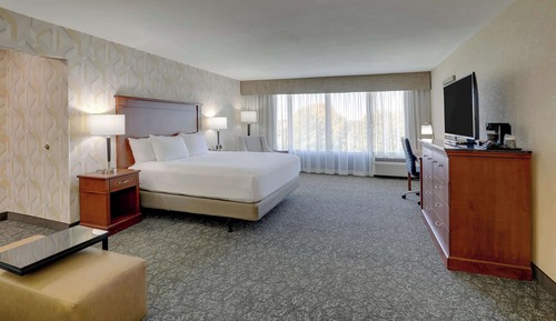 Deluxe Room, 1 King Bed with Sofa bed, Refrigerator & Microwave