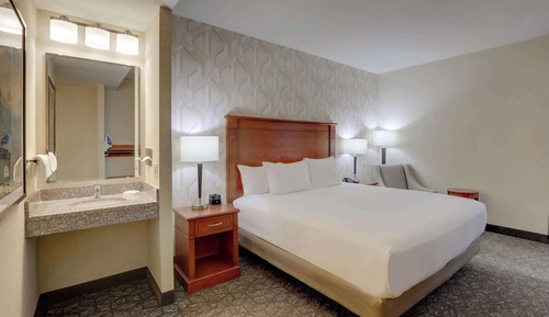Deluxe Room, 1 King Bed, Accessible, Refrigerator & Microwave (Roll in Shower)