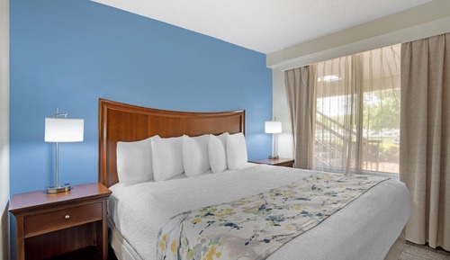 Suite, 1 King Bed, Smoking, Refrigerator & Microwave (with Sofabed)