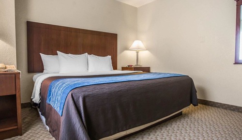 Suite, 1 King Bed with Sofa bed, Non Smoking