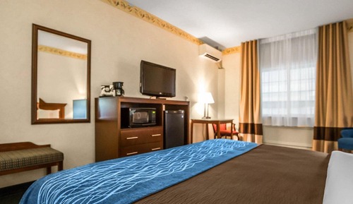 Standard Room, 1 King Bed, Non Smoking