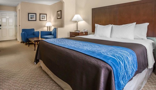 Suite, 1 King Bed with Sofa bed, Non Smoking