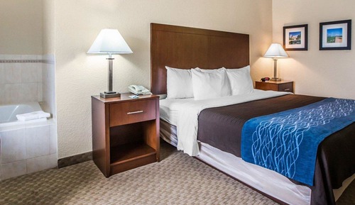 Standard Room, 1 King Bed, Non Smoking