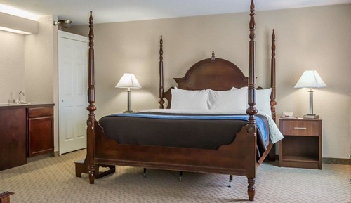Standard Room, 1 King Bed with Sofa bed, Non Smoking