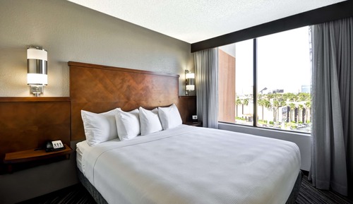 Room, 1 King Bed (& Sofabed)