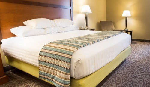 Deluxe Room, 1 King Bed, Refrigerator & Microwave