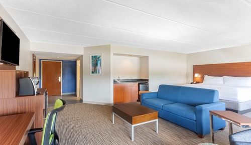 Suite, 1 King Bed with Sofa bed