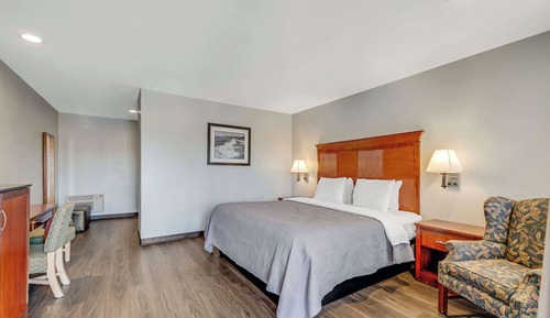 Standard Room, 1 King Bed, Non Smoking, Patio