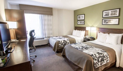 Standard Double Room, 2 Double Beds, Non Smoking