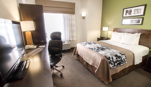Standard Queen Room, 1 Queen Bed, Accessible,Mobility Hearing, Non Smoking