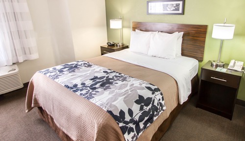 Standard Queen Room, 1 Queen Bed, Mobility Accessible, Non Smoking