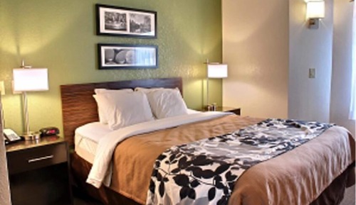 Room, 1 Queen Bed, Accessible, Non Smoking