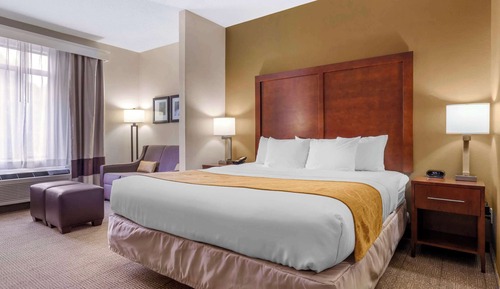 Suite, 1 King Bed with Sofa bed, Accessible, Non Smoking