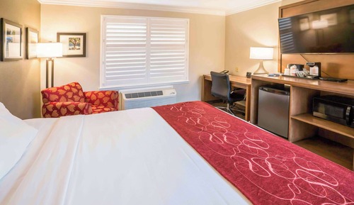Standard Room, 1 King Bed, Non Smoking