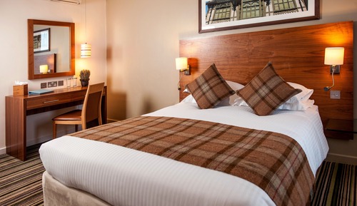 Comfortable Double Room
