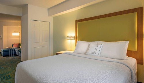 Studio, 1 King Bed with Sofa bed