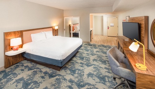 Room, 1 King Bed, Patio