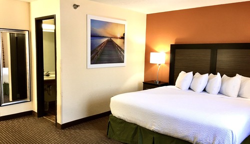Room, 1 King Bed, Non Smoking
