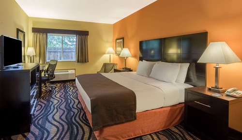 Room, 1 King Bed, Non Smoking