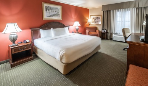 Room, 1 King Bed, Non Smoking