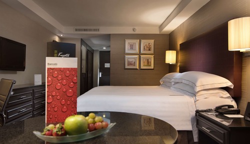 Superior Premium Level Room