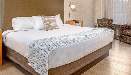 Basic Room, 1 King Bed