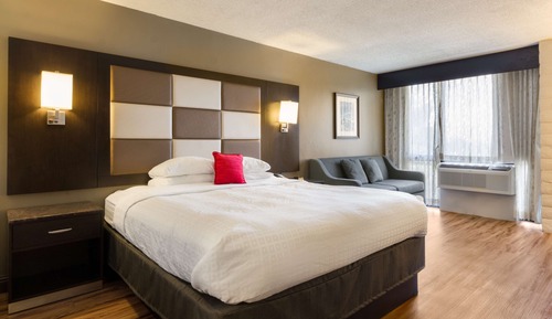 Room, 1 King Bed with Sofa bed