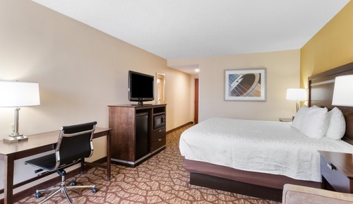 Standard Room, 1 King Bed, Non Smoking, Refrigerator & Microwave