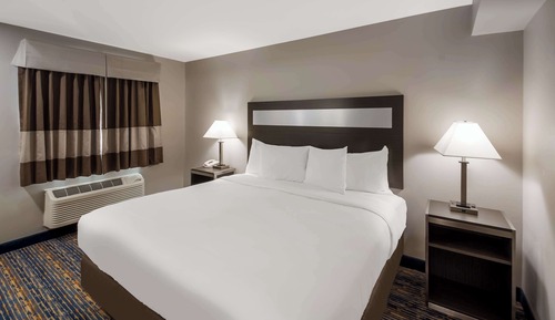 Room, 1 King Bed, Non Smoking