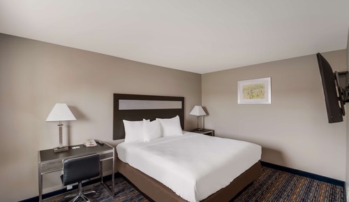Room, 1 Queen Bed, Non Smoking
