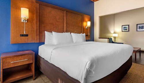 Suite, 1 King Bed with Sofa bed, Non Smoking