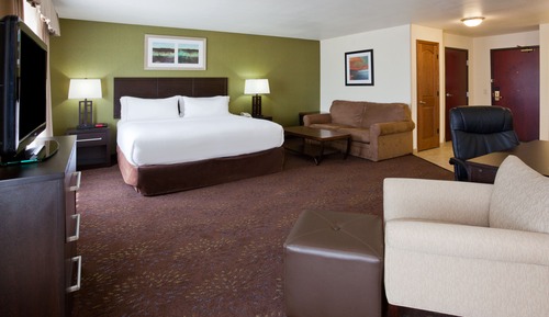 Suite, 1 King Bed (Additional Living Area)