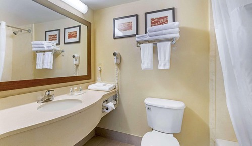 Suite, 1 King Bed, Non Smoking