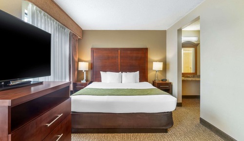 Suite, 1 King Bed with Sofa bed, Non Smoking