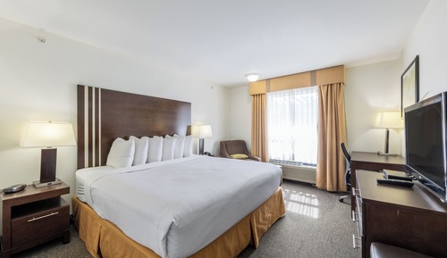 Room, 1 King Bed, Non Smoking