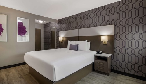 Standard Room, 1 King Bed, Accessible, Non Smoking (Walk-in Shower)