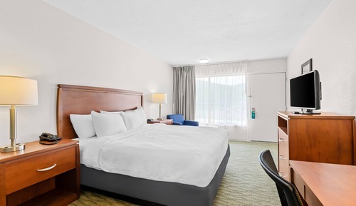 Standard Room, 1 King Bed, Non Smoking
