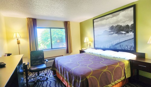 Standard Room, 1 King Bed, Accessible