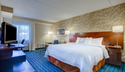 Room, 1 King Bed with Sofa bed (Hearing Accessible)