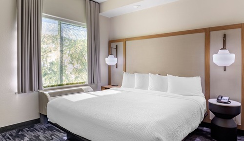 Studio, 1 King Bed with Sofa bed