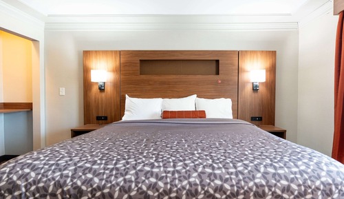 Standard Room, 1 King Bed, Accessible