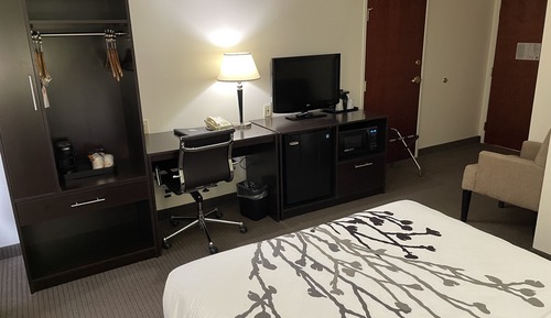 Standard Room, 1 Queen Bed, Accessible, Non Smoking
