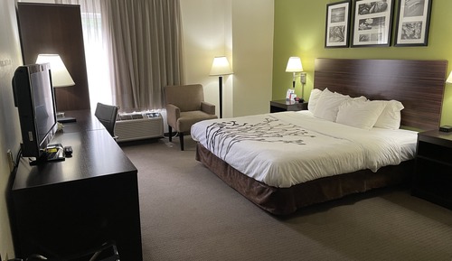 Standard Room, 1 King Bed, Non Smoking