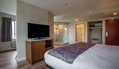 Luxury Studio Suite