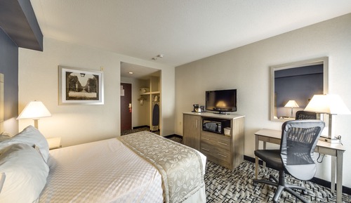 Standard Room with 1 queen bed