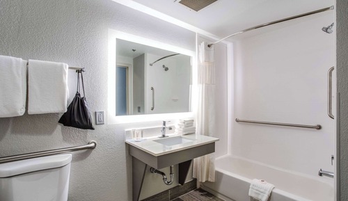 Room, 1 King Bed, Accessible, Non Smoking (Roll-in Shower)