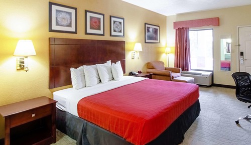 Standard Room, 1 King Bed, Non Smoking
