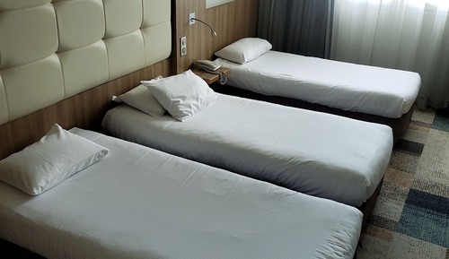 Standard Room, 3 Twin Beds