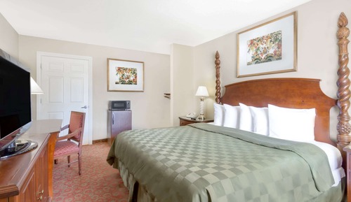 Room, 1 King Bed, Accessible