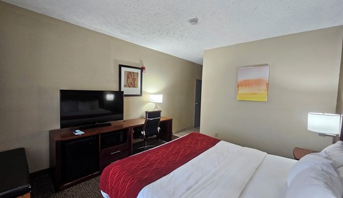 Room, 1 King Bed, Accessible, Non Smoking